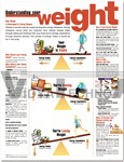 Understanding Your Weight Anatomical Chart